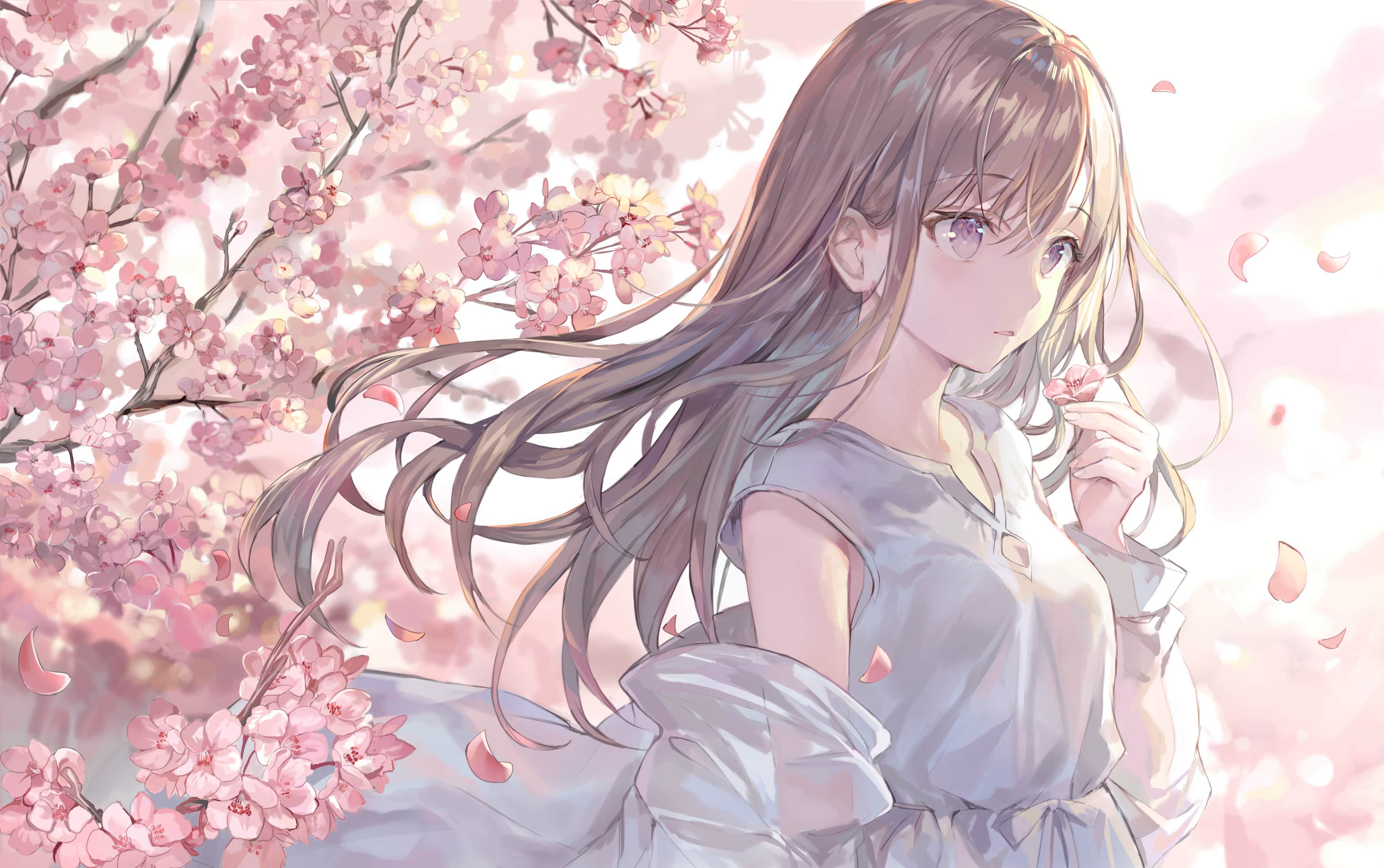 background picture of the home page